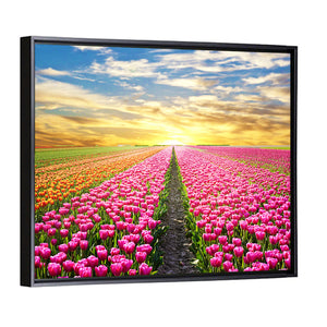 Sunrise Over Tulip Field Wall Art