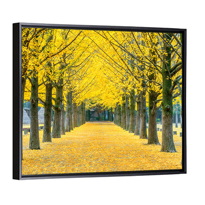 Row of Yellow Ginkgo Trees Wall Art
