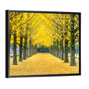 Row Of Yellow Ginkgo Tree Wall Art