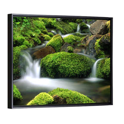 Mossy Mountain Stream Wall Art