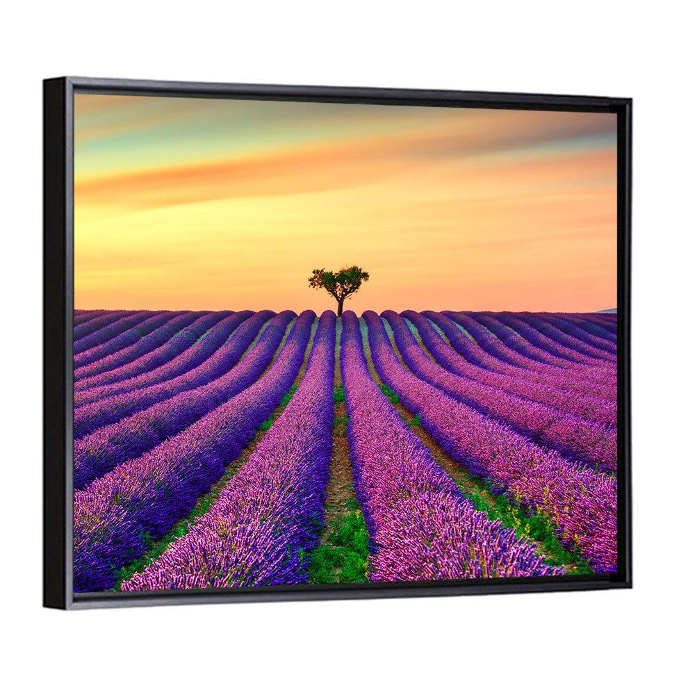 Lavender Field with Solitary Tree Wall Art
