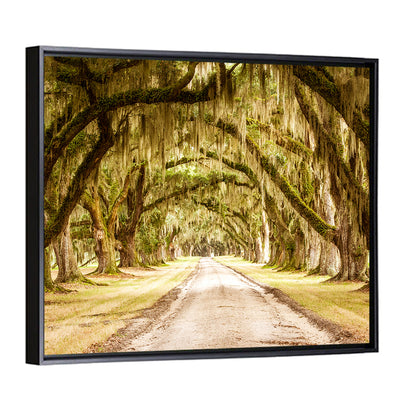 Oak Pathway Under Spanish Moss Wall Art