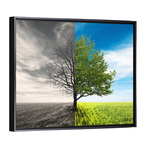 Lonely Tree In Field Wall Art