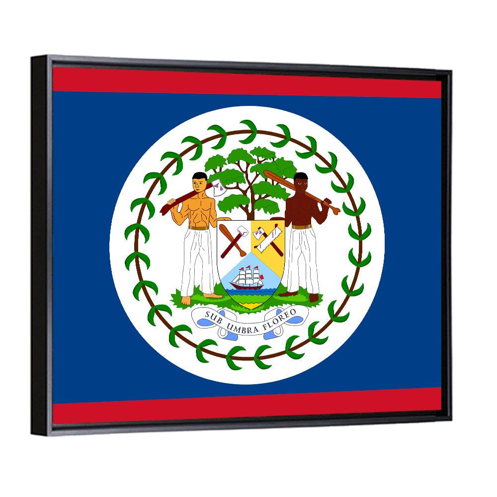 Belize National Flag Emblem Wall Art