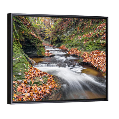 Warren County Autumn Cascades Wall Art