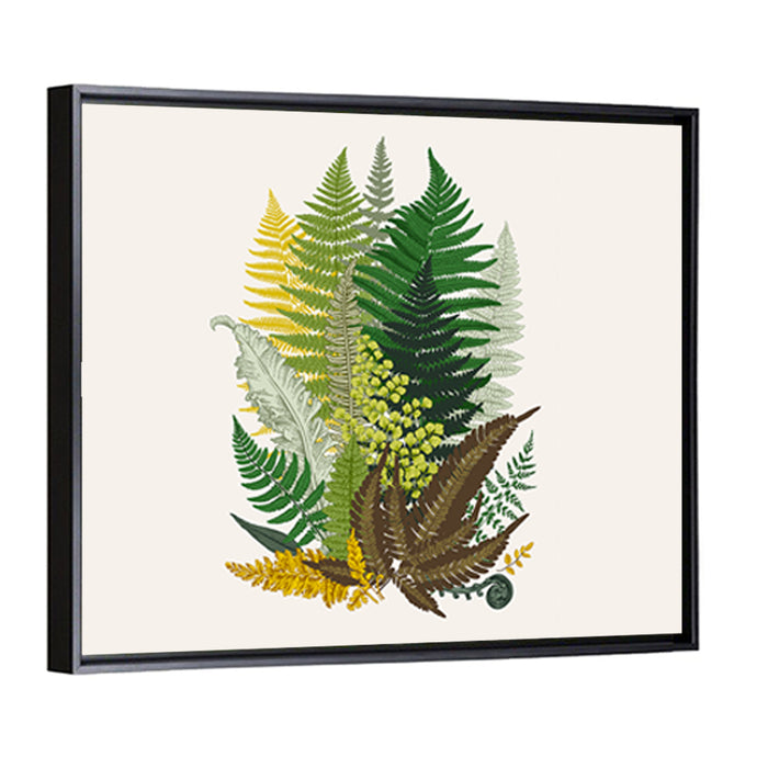 Fern Composition Wall Art as a framed canvas