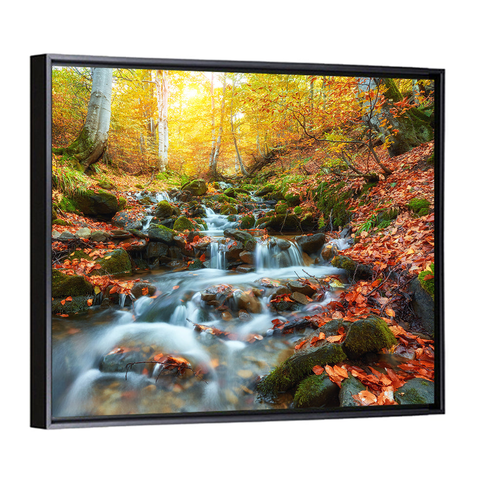 Backlit Autumn Forest Stream Wall Art