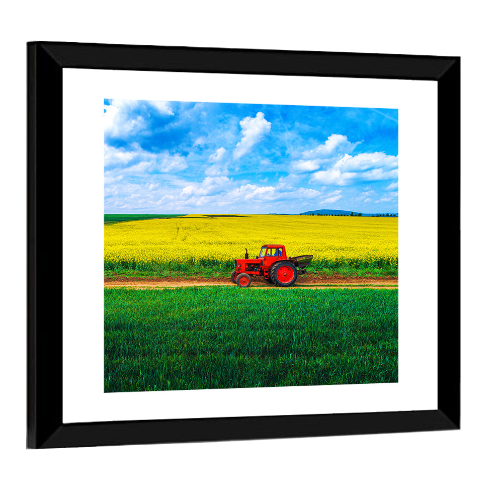 Red Tractor Over Yellow Rapeseed Field Wall Art
