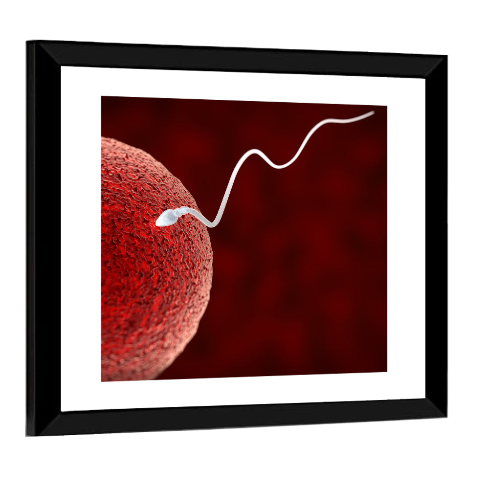 Sperm Approaching Ovum Wall Art