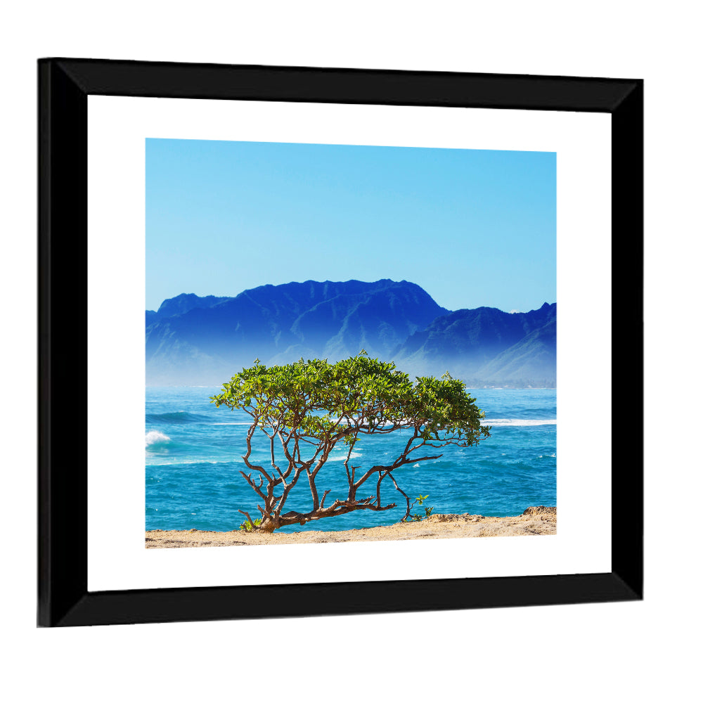 Hawaiian Coastal Tree on Rocky Shore Wall Art