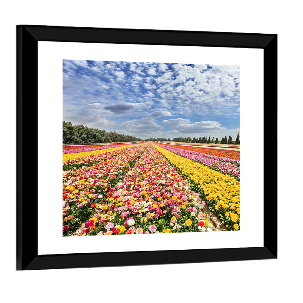Spring Buttercup Field Wall Art