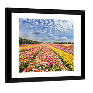 Spring Flowering Buttercups Wall Art