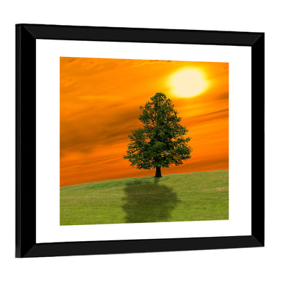 Lonely Tree on Green Hill at Sunset Wall Art