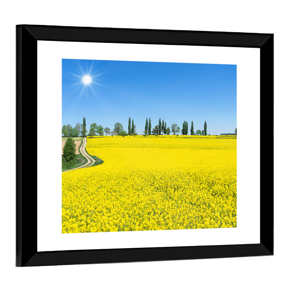Winding Path Through Rapeseed Field Wall Art