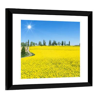 Winding Path Through Rapeseed Field Wall Art