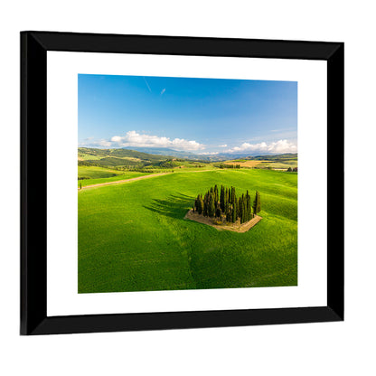 Italian Cypresses on Rolling Hills Wall Art
