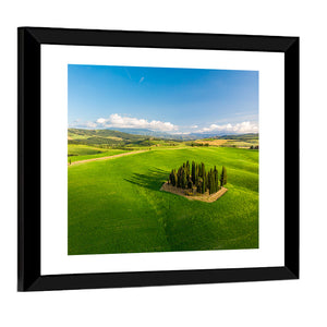 Italian Cypresses Wall Art