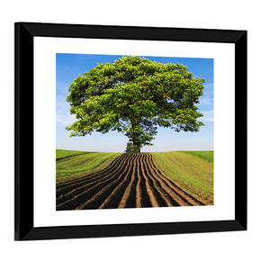 Tree On Hill Wall Art