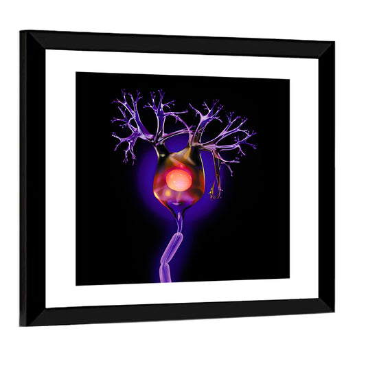 Microscopic Human Neuron Illustration Wall Art