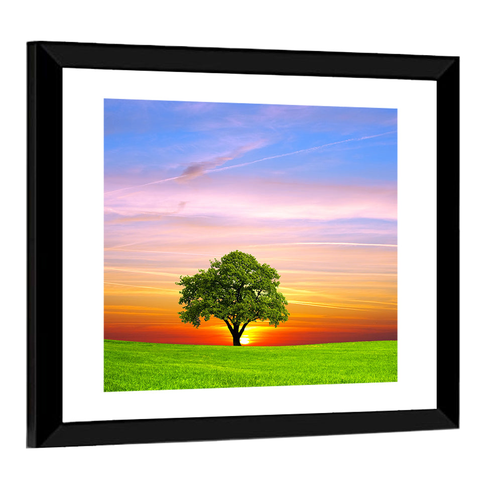 Lone Tree at Sunset Wall Art
