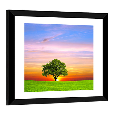 Lone Tree at Sunset Wall Art