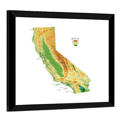 California Topographic Map Wall Art