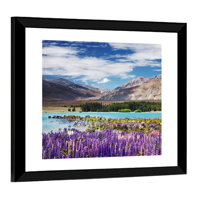 Lupines at Lake Tekapo Wall Art