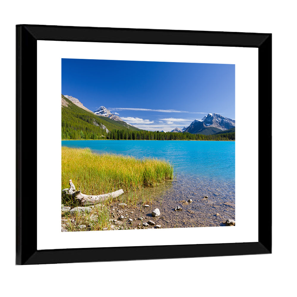 Jasper Lake with Driftwood Wall Art
