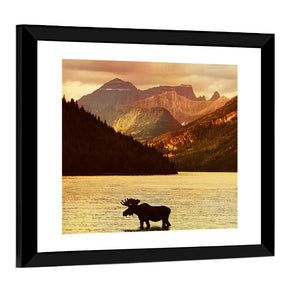 Moose In Waterton Lakes National Park Wall Art