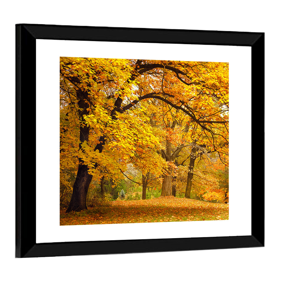Golden Canopy in Autumn Park Wall Art
