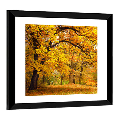 Golden Canopy in Autumn Park Wall Art