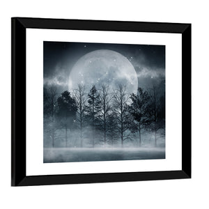 Dark Forest In Moonlight Wall Art