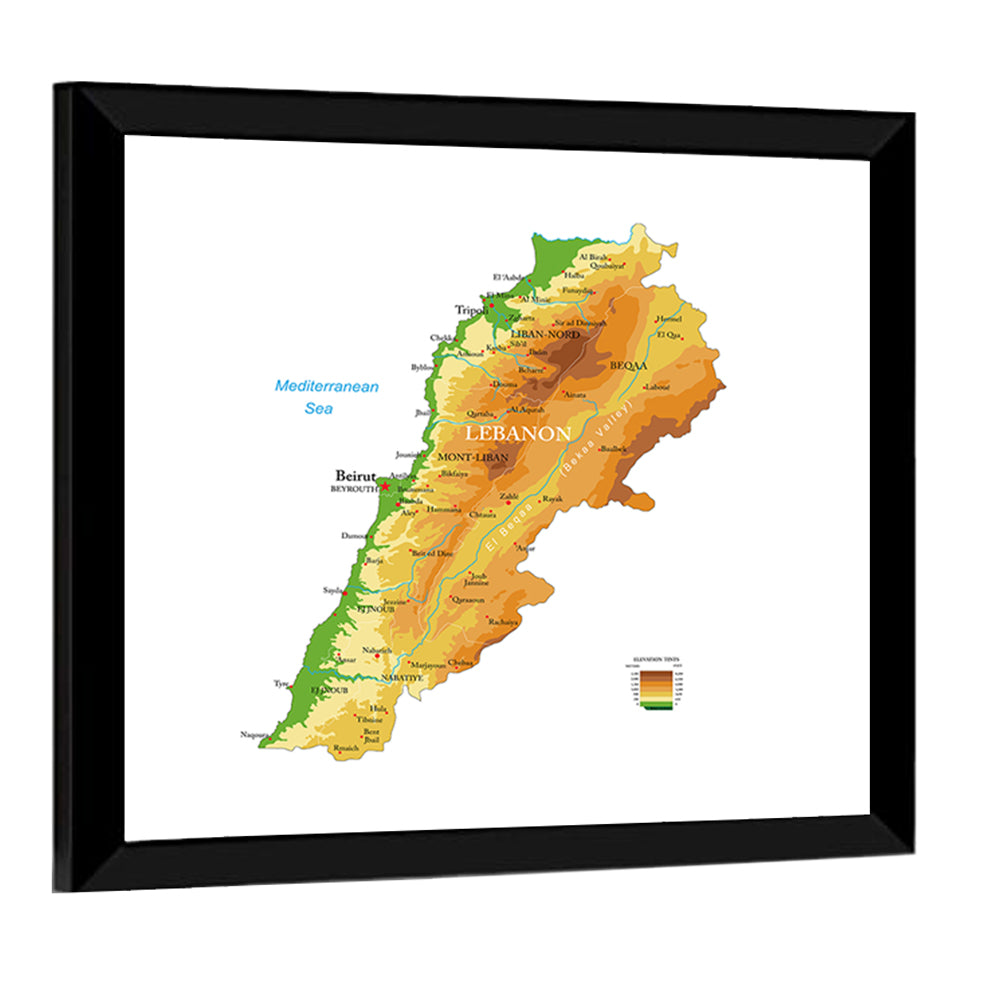 Lebanon Terrain Map Wall Art