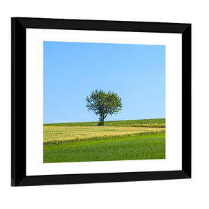 Lonely Tree At Meadow Wall Art