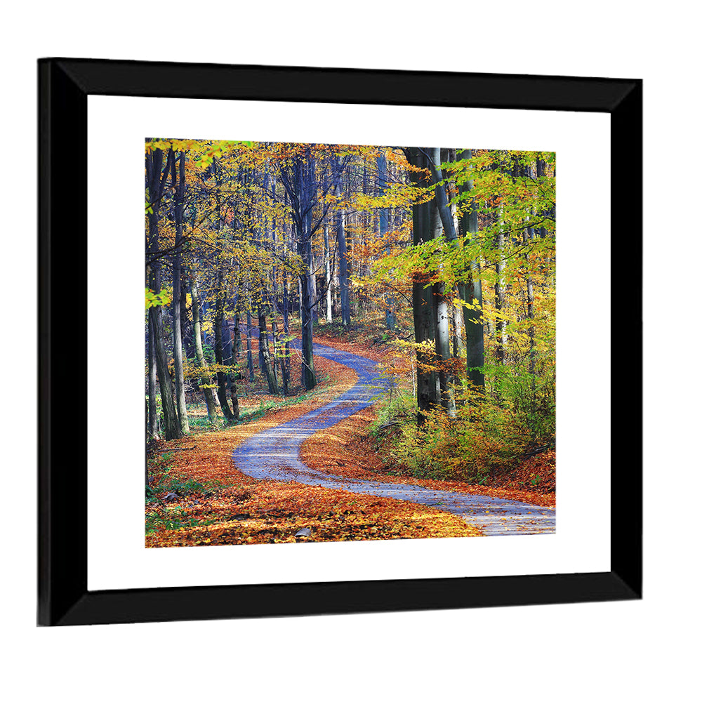 Winding Autumn Forest Path Wall Art