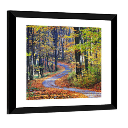 Winding Autumn Forest Path Wall Art