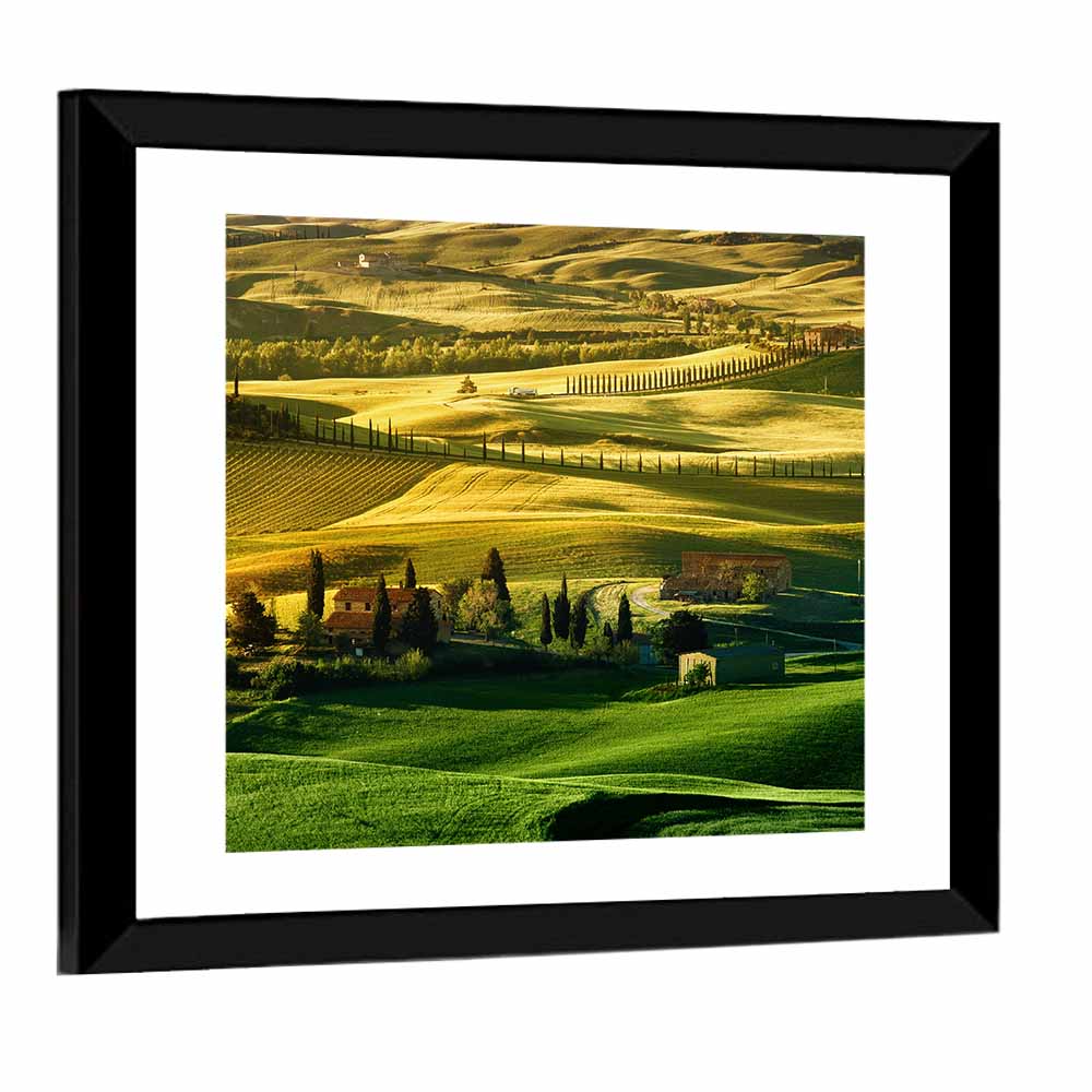 Tuscany Fields at Golden Hour Wall Art