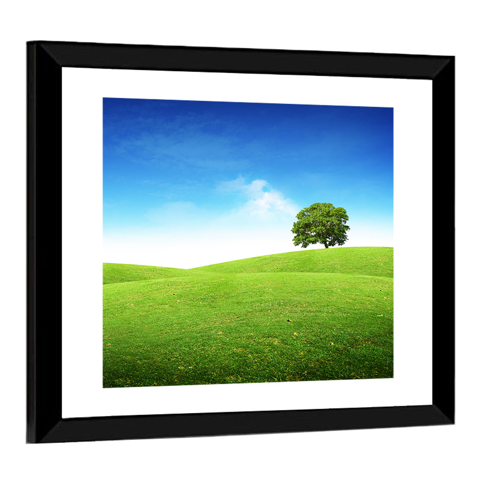 Lone Tree on Rolling Green Hill Wall Art
