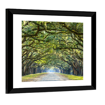 Savannah Oak Tree Pathway Wall Art