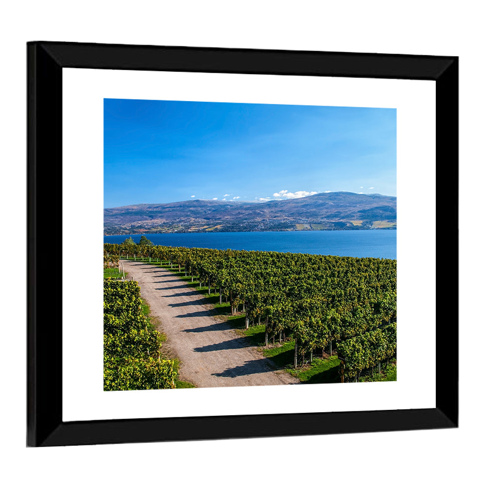 Lake Okanagan Vineyard Path Wall Art