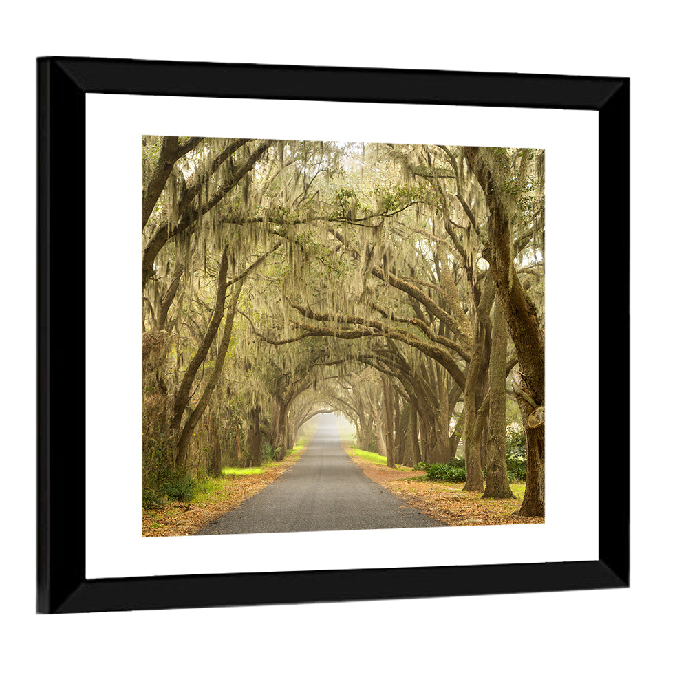 Spanish Moss Country Road Wall Art