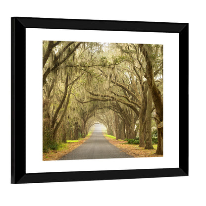 Spanish Moss Country Road Wall Art