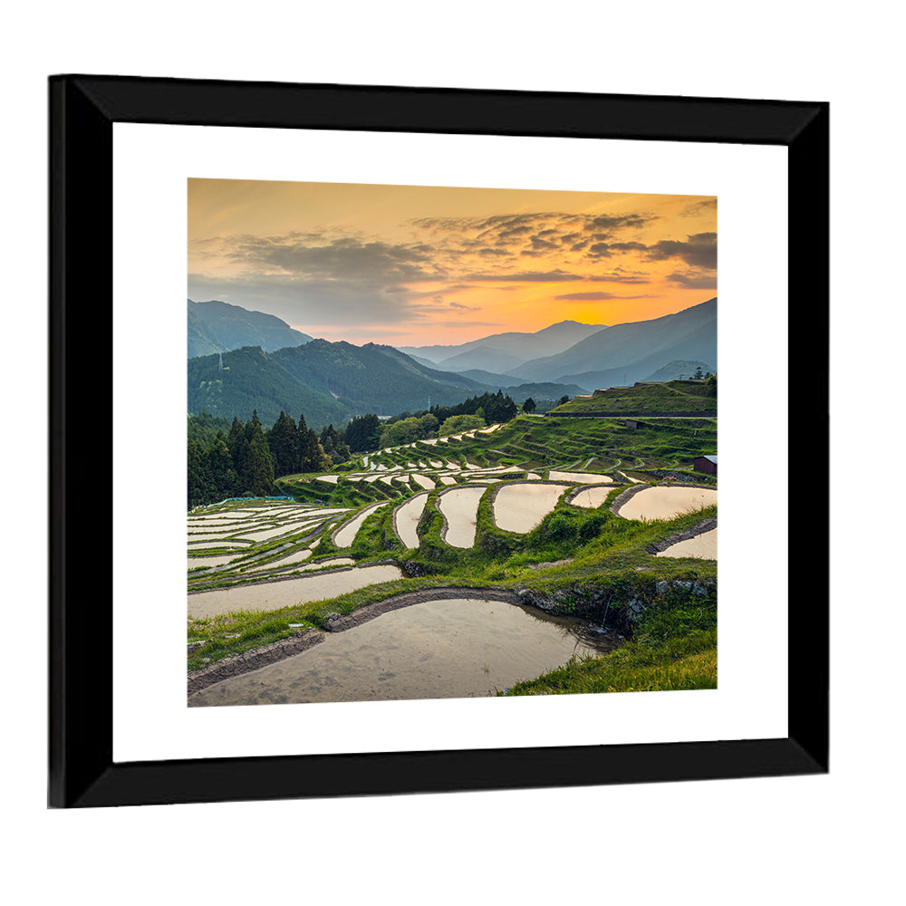 Sunset Over Japanese Rice Terraces Wall Art