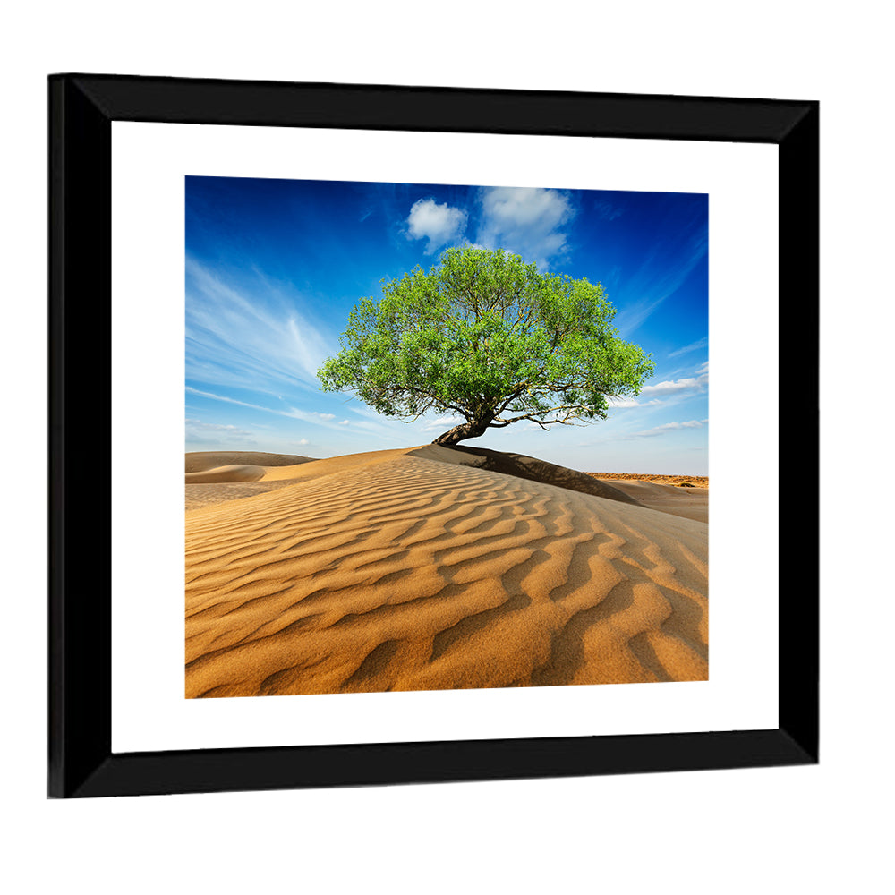 Solitary Green Tree on Sand Dune Wall Art