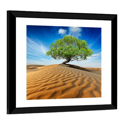 Solitary Green Tree on Sand Dune Wall Art