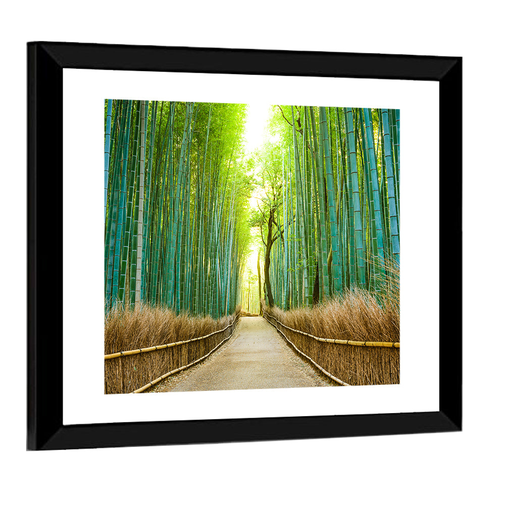 Arashiyama Bamboo Path, Kyoto Wall Art
