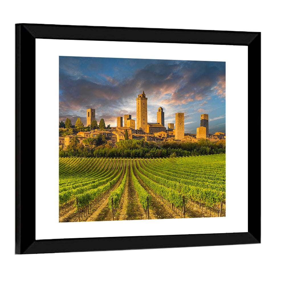 Vineyards of San Gimignano Wall Art