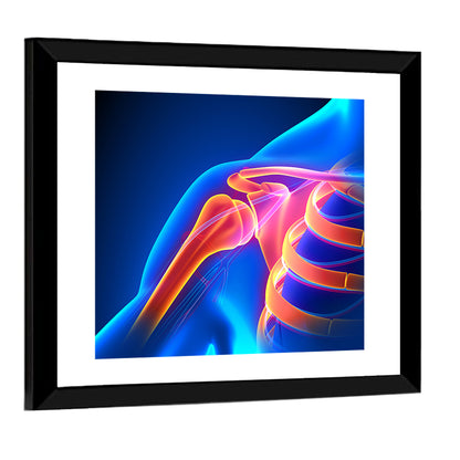Shoulder Pain Anatomy Study Wall Art