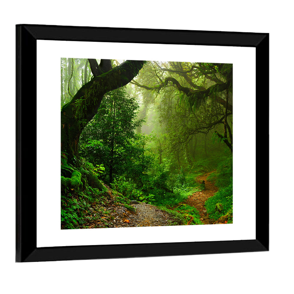 Misty Forest Trail in Nepal Wall Art