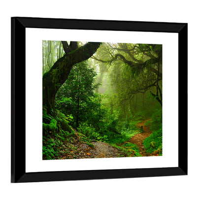 Misty Forest Trail in Nepal Wall Art